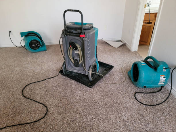 Best Carpet water damage restoration  in Punxsutawney, PA