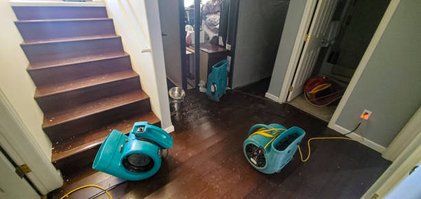 Best Flood damage cleanup  in Punxsutawney, PA