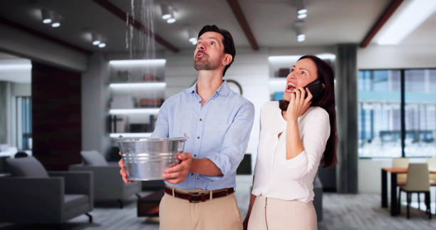  Punxsutawney, PA Water damage restoration Pros